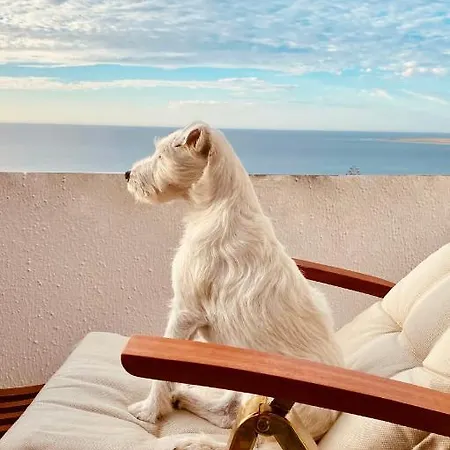 Exclusive With Stunning Sea Views By 75steps Maspalomas (Gran Canaria)